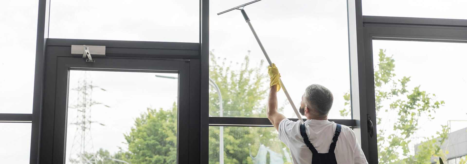 Window cleaner